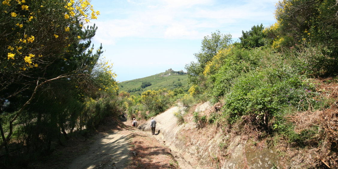 Sentier Mont Épomèo, Ischia